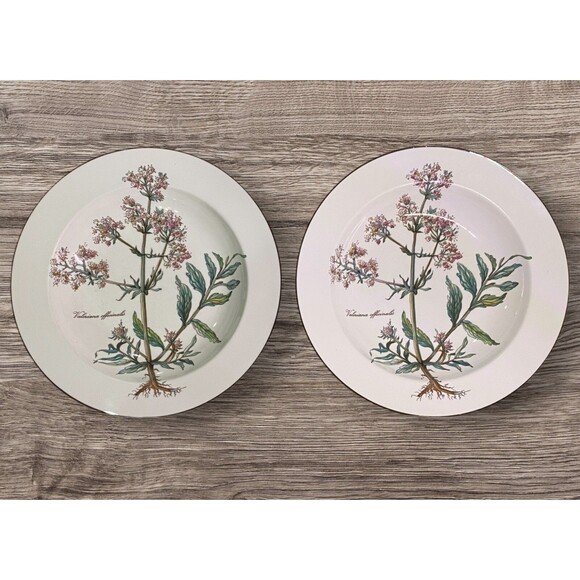 Villeroy & Boch Botanica Set of 2  Rimmed Soup Bowls 8 5/8" Valeriana w/ Roots - Picture 1 of 11